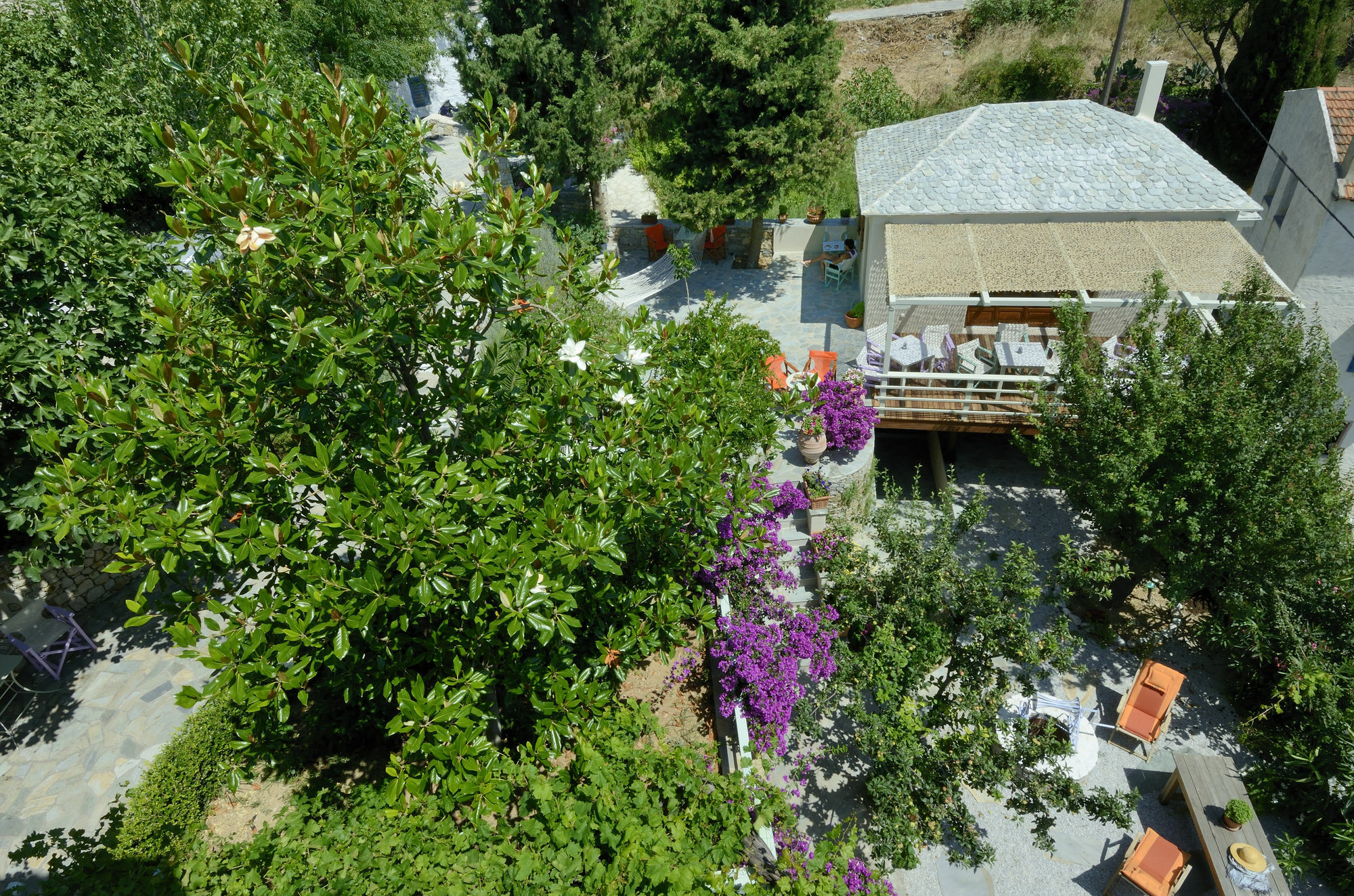Konstantina Studios Alónnisos Exteriör bild